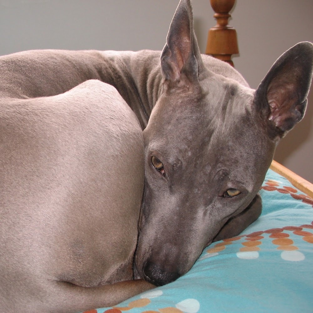 Meet your Posher, Leslie